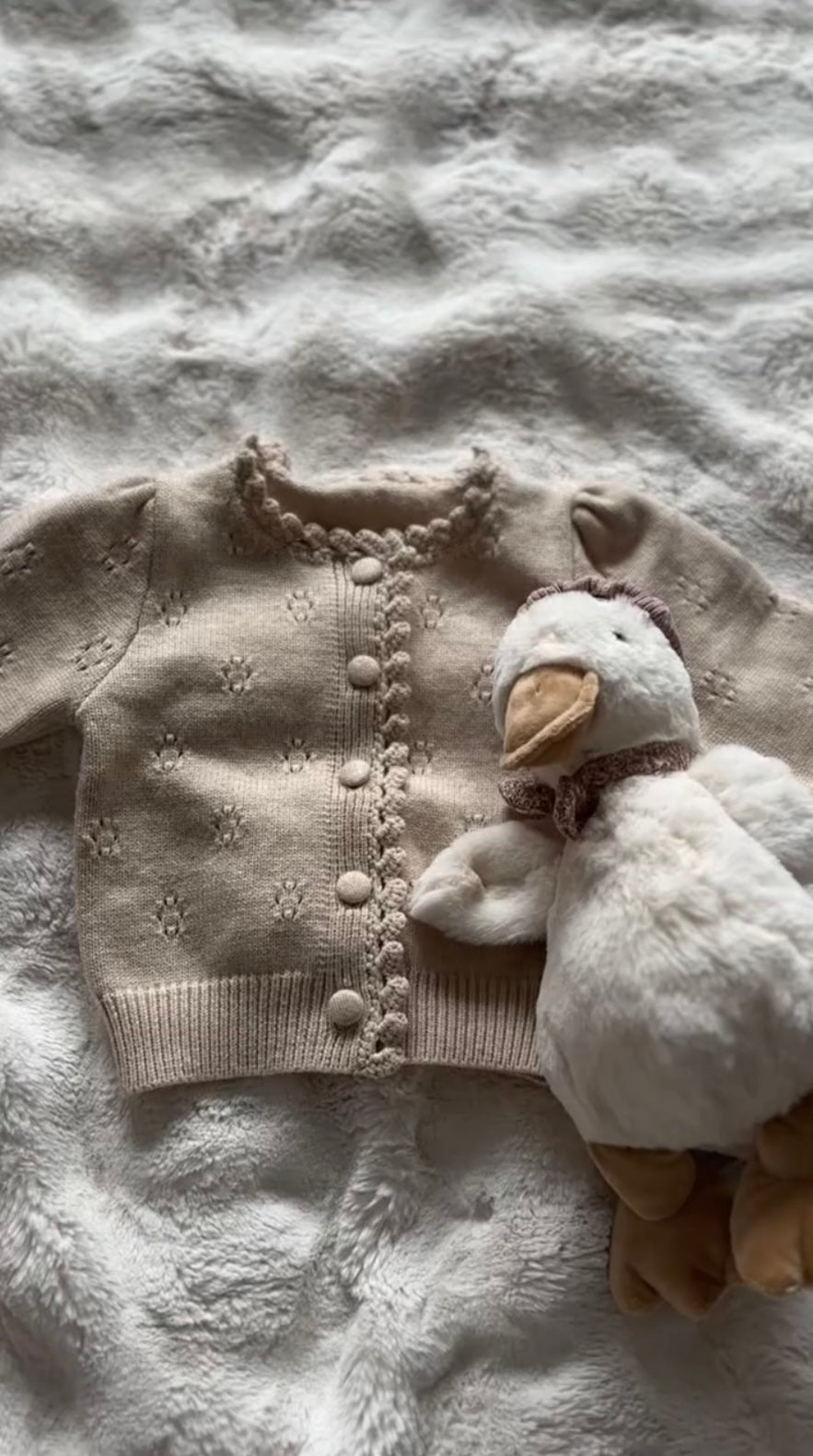 Lynn Cardigan